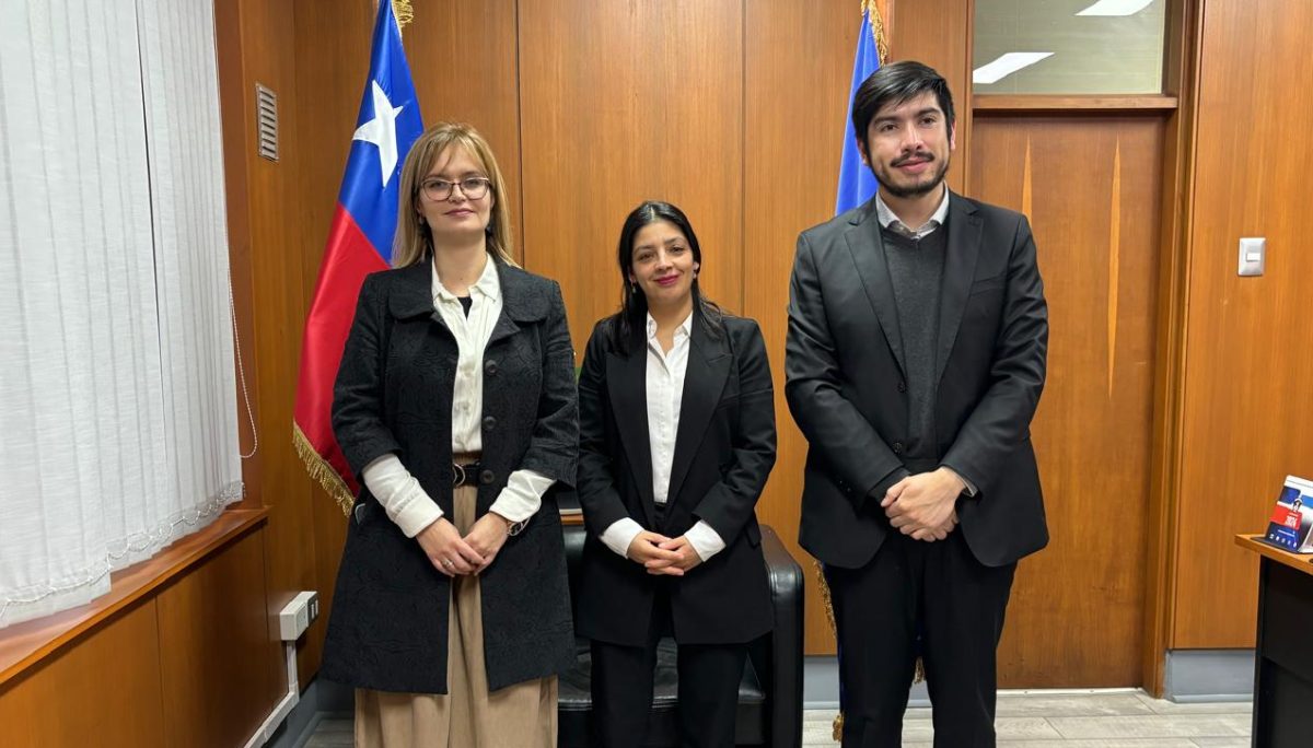 Presentan a nueva directora regional de Sernatur Los Lagos