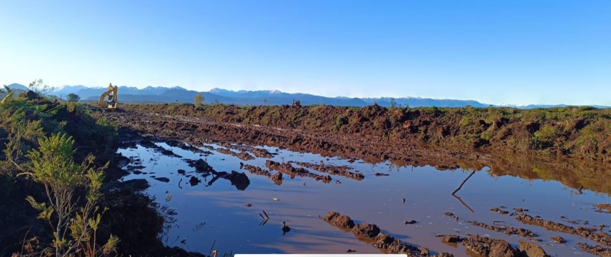 Protección de humedales: Tribunal Ambiental suspende construcción en Valle Volcanes