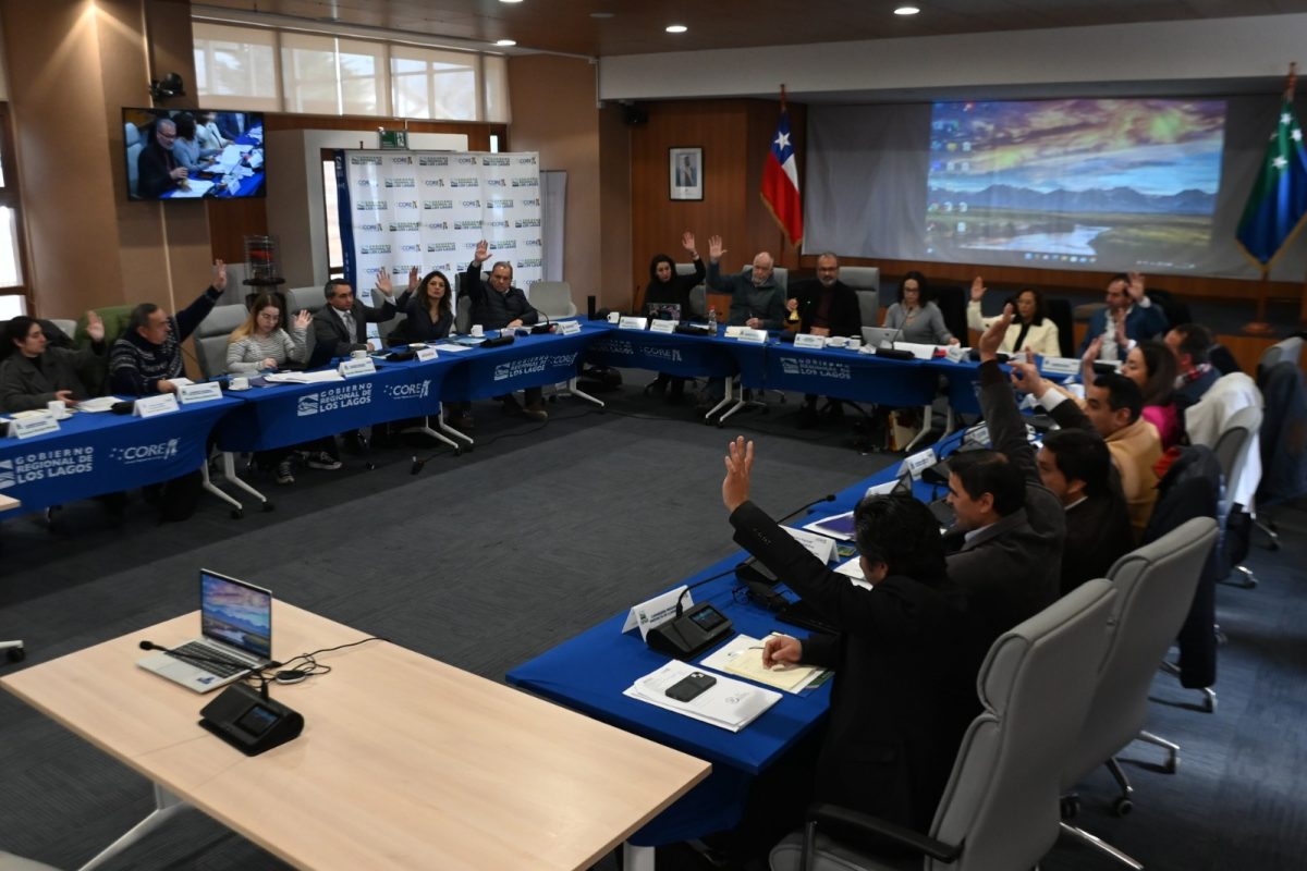 Aprobado Fondo Especial para apoyo a personas neurodivergentes en la Región de Los Lagos