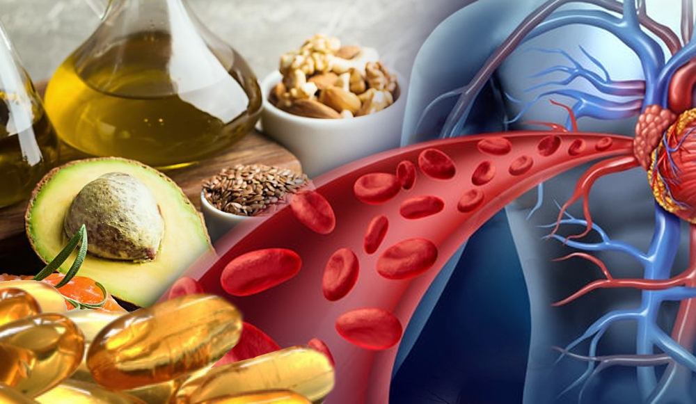 Nutrientes y hábitos que protegen tu corazón y sistema circulatorio