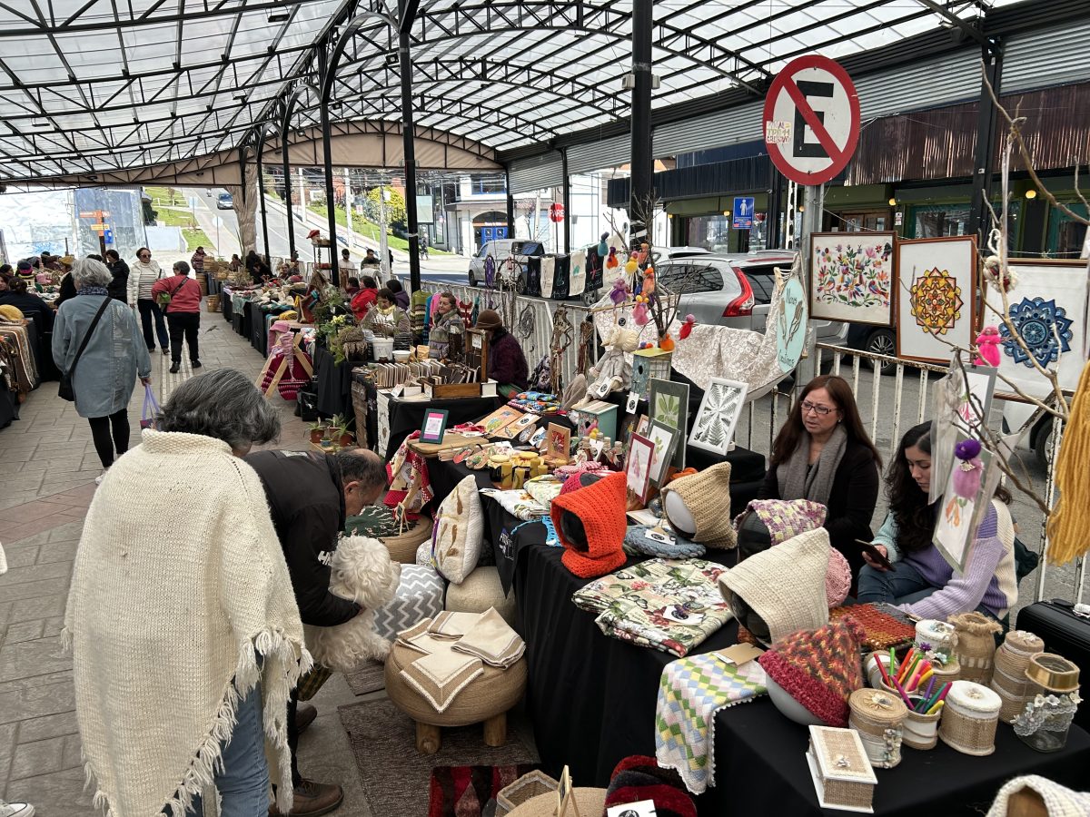Puerto Varas: Segundo Encuentro Regional de Creadores y Productores Los Lagos