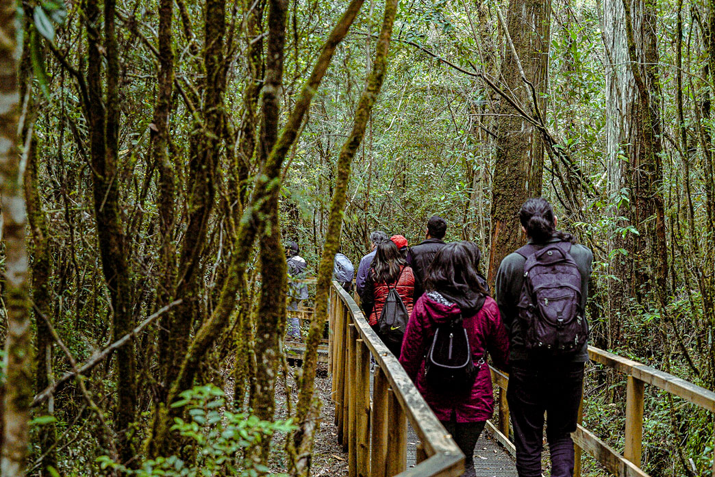 Puerto Montt vivirá intensamente la Semana del Turismo