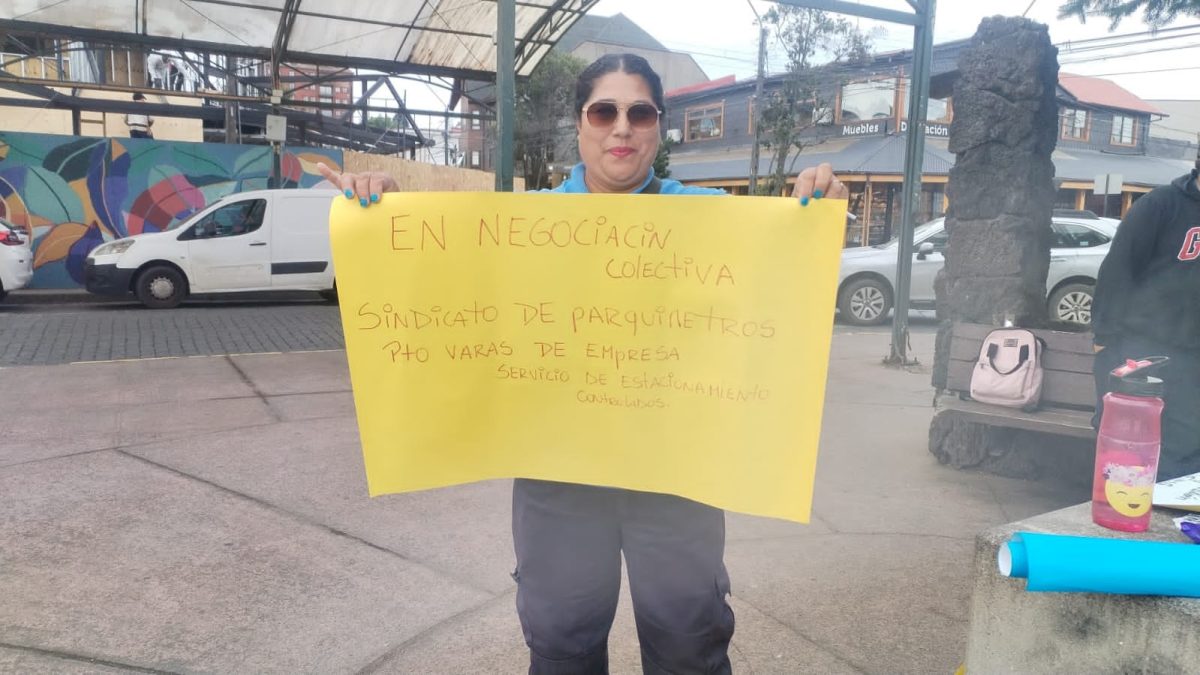 Parquímetros de Puerto Varas