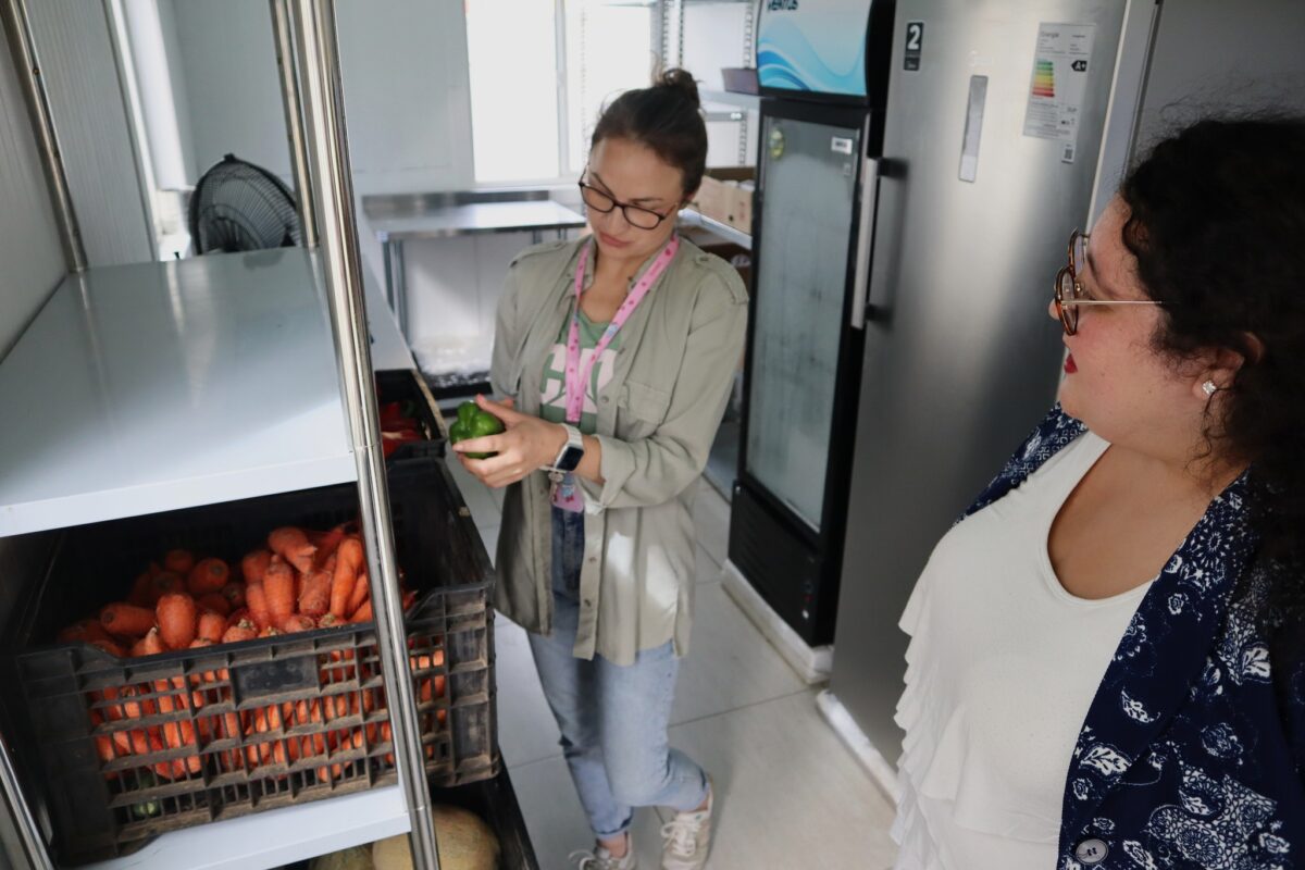 Nuevo EcoMercado Solidario en Puerto Montt
