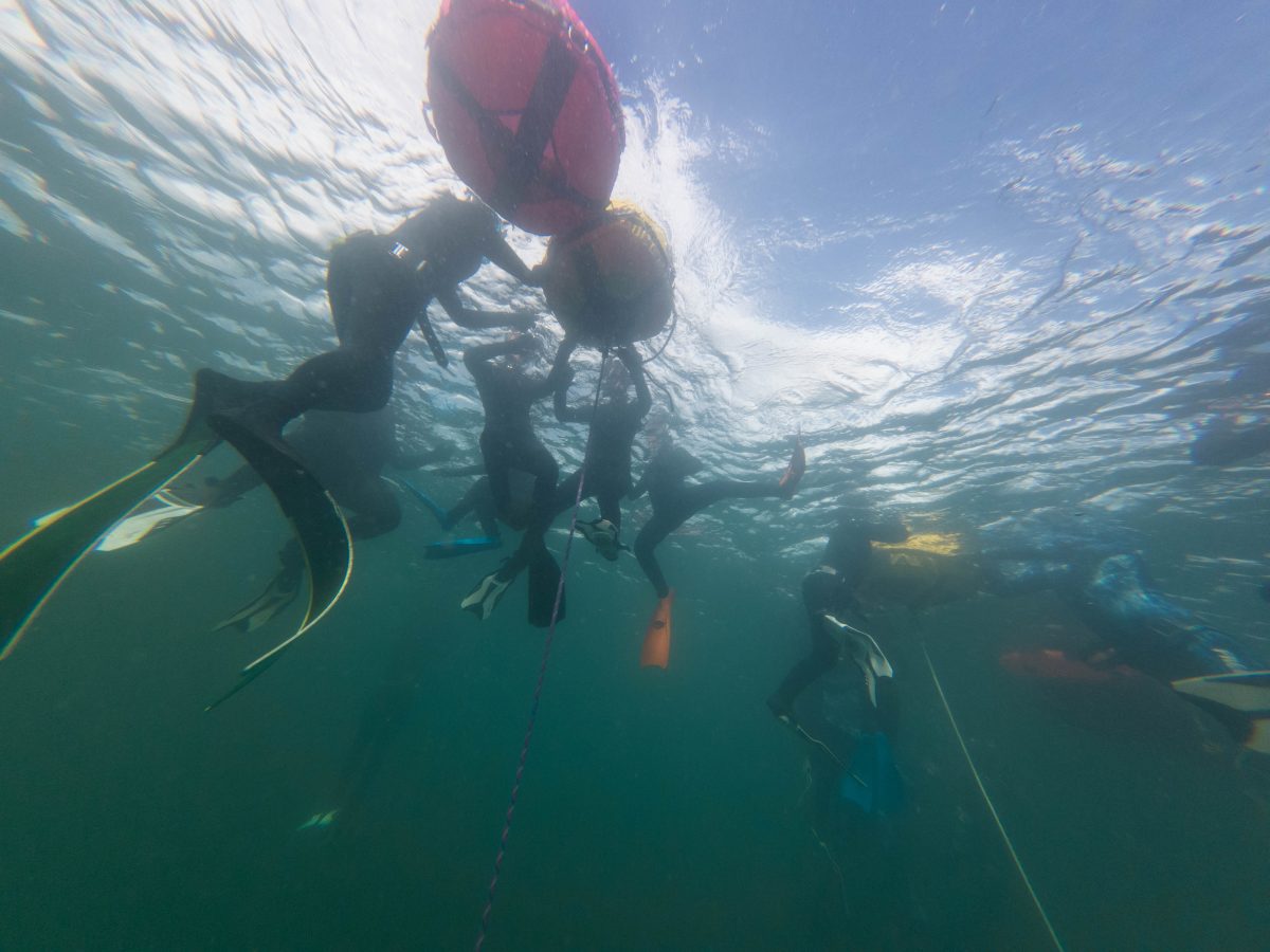 Realizan encuentro de buceo con comunidad Kawésqar