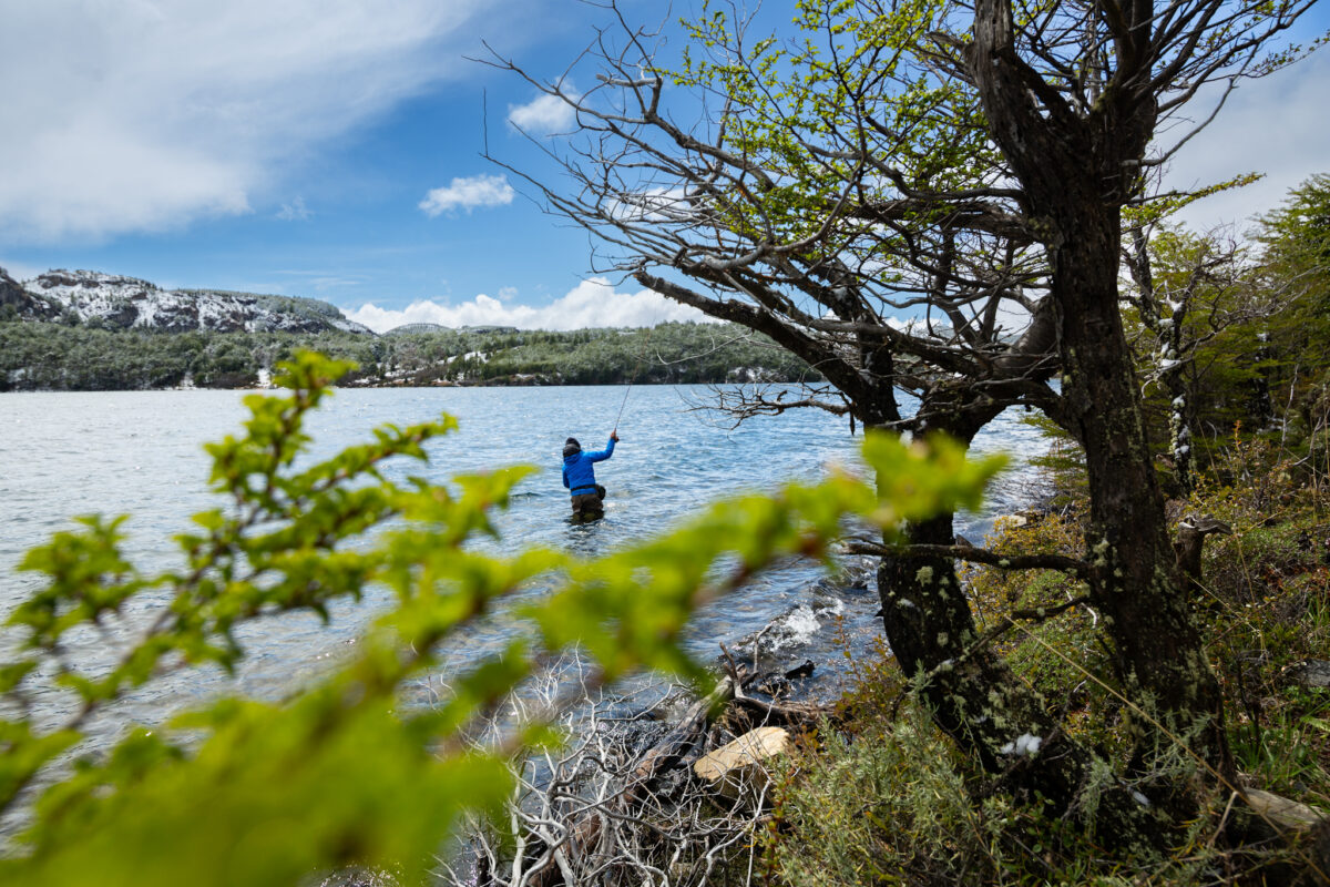 Pesca con Mosca Sustentable: Guía para Cuidar tu Equipo y el Medio Ambiente