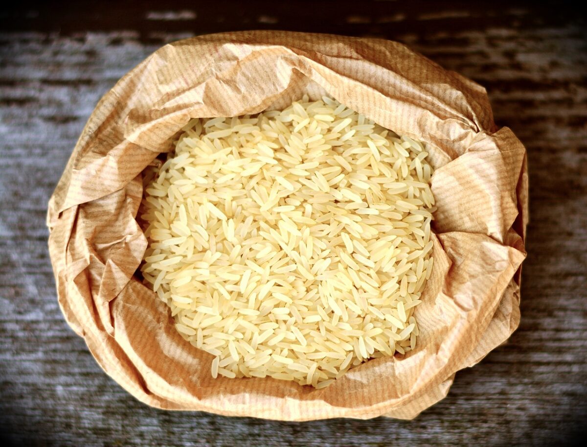 Chile desarrolla una variedad de arroz que reduce a la mitad el uso de agua