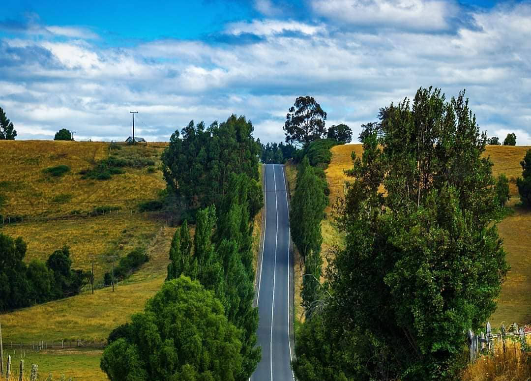 Ruta 5 Chiloé: Piden doble vía