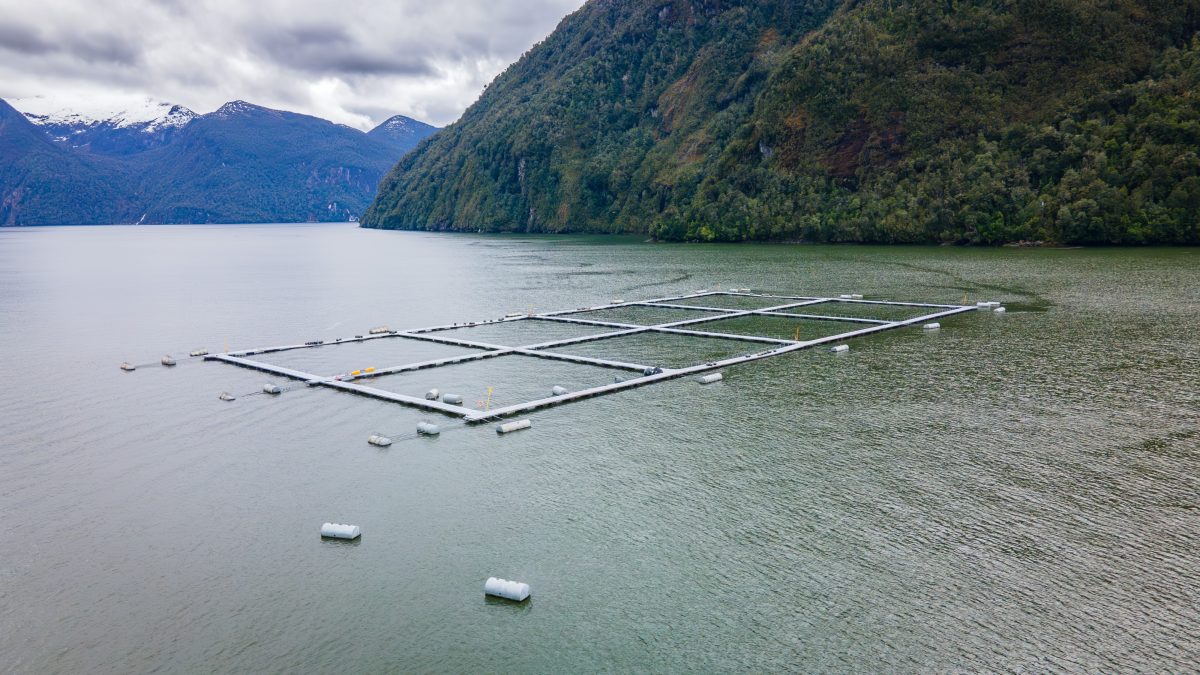 Cooke Aquaculture enfrenta graves sanciones ambientales