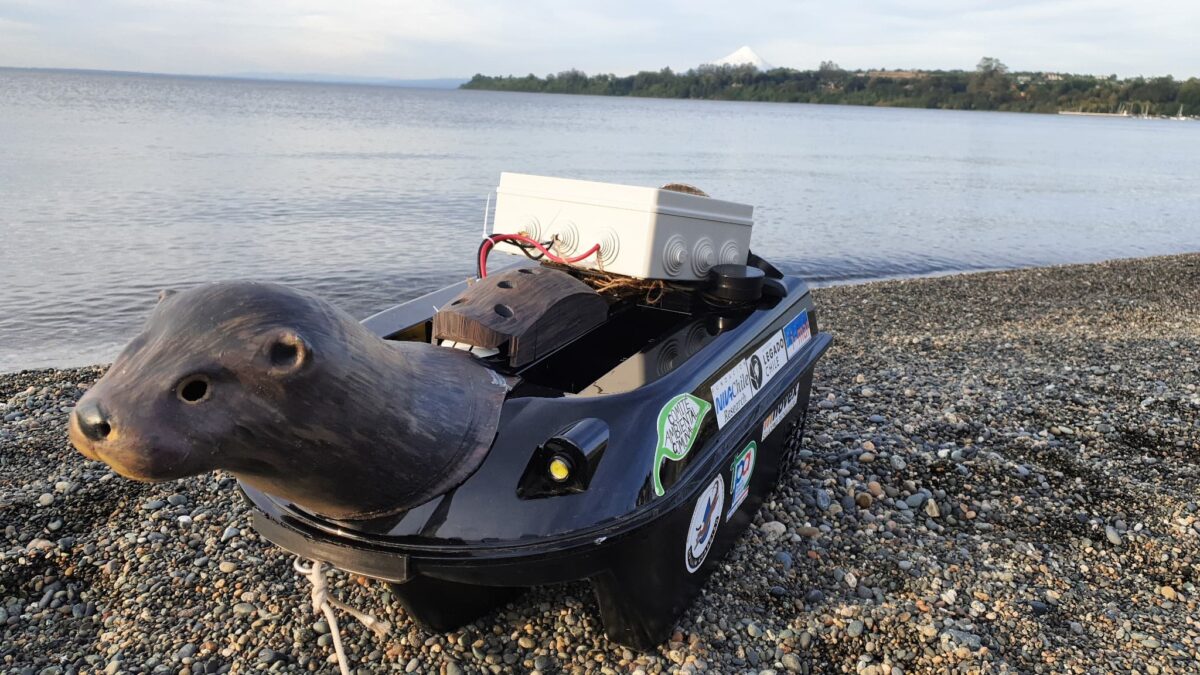 Huillín Guardián: monitoreo ciudadano de los cuerpos de agua en Puerto Varas