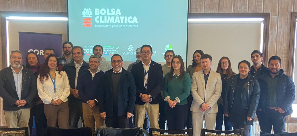 Bolsa Climática Regenerativa: Los Lagos avanza hacia un modelo regional de compensación de emisiones con impacto global y arraigo territorial