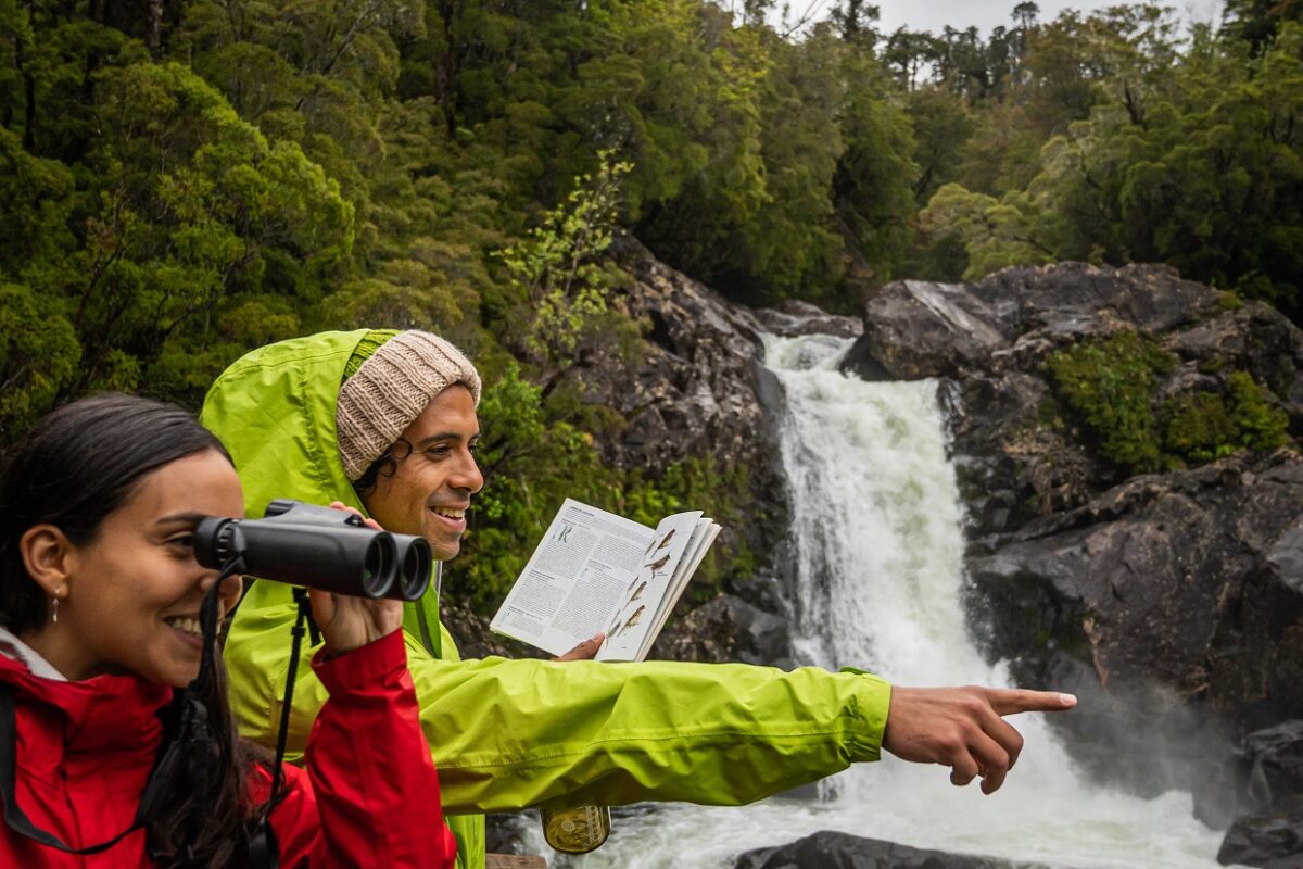 La Región de Los Lagos se prepara para atraer turistas durante temporada baja