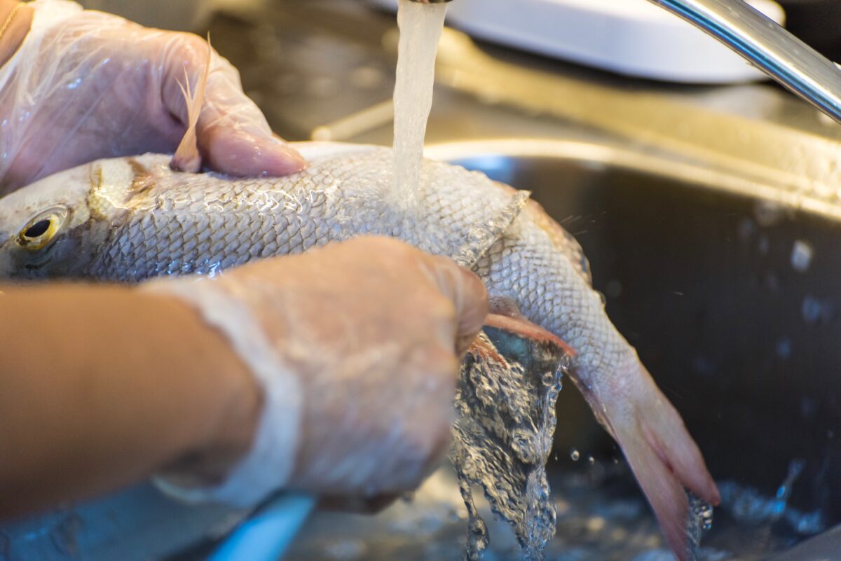 Semana Santa: cómo evitar intoxicaciones por mariscos y pescados en mal estado