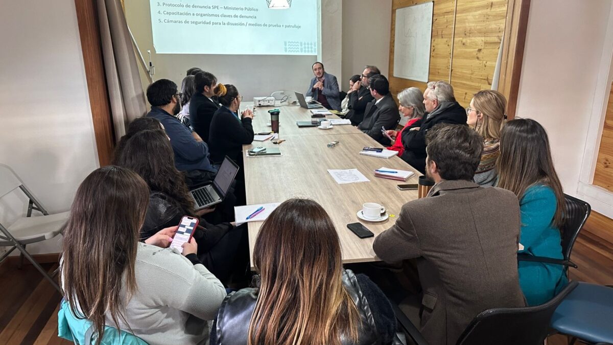 Puerto Varas refuerza acciones contra la explotación sexual infantil