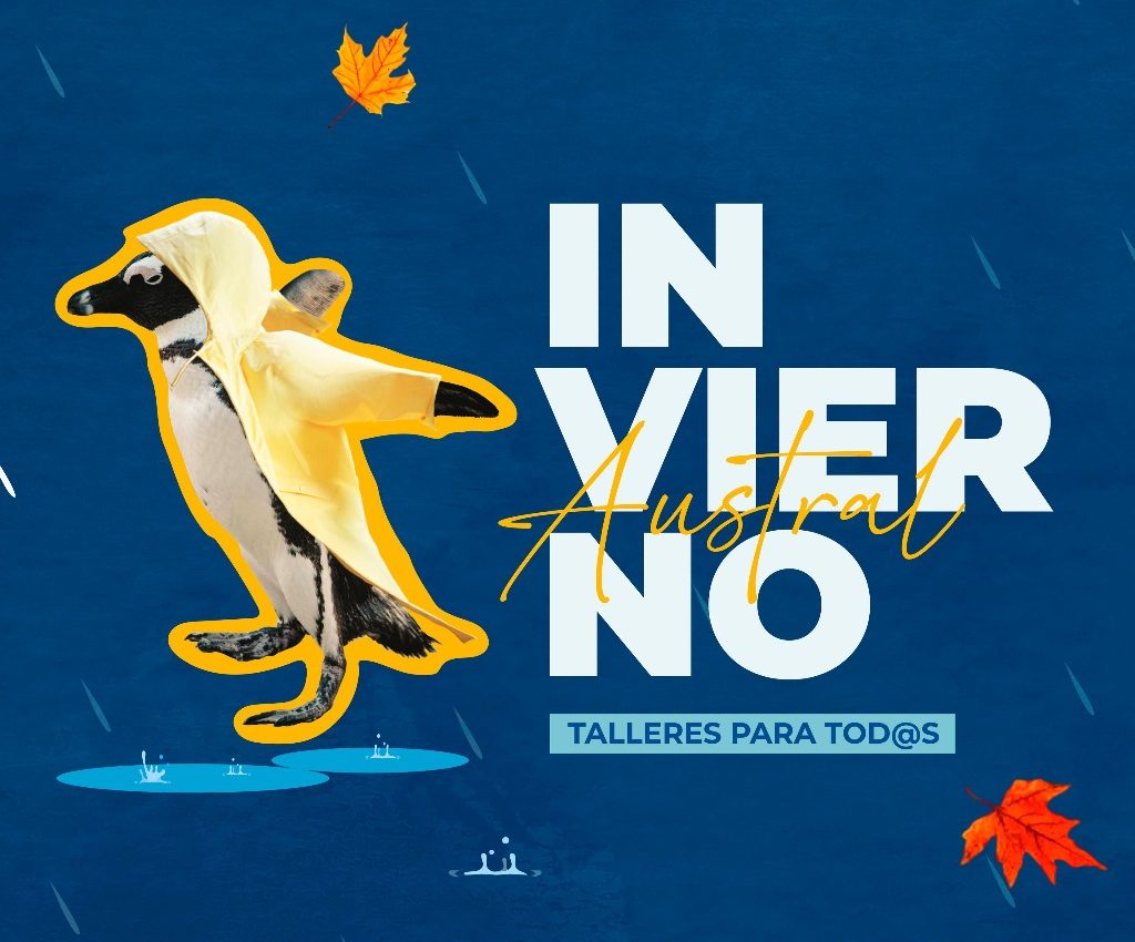 Llega la Escuela de Invierno 2025 de la UACh Sede Puerto Montt