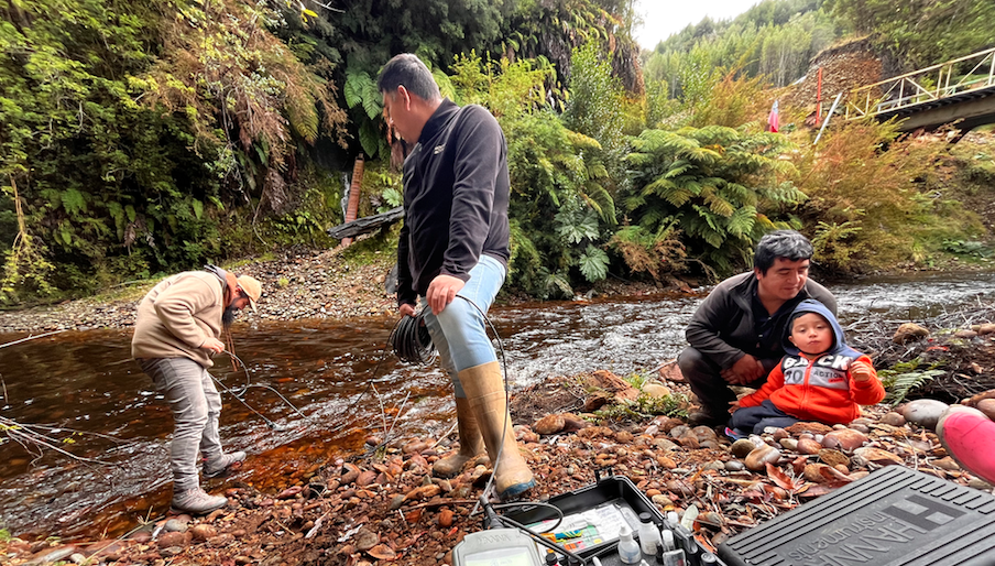 Biólogos impulsan conservación del huillín en Chiloé
