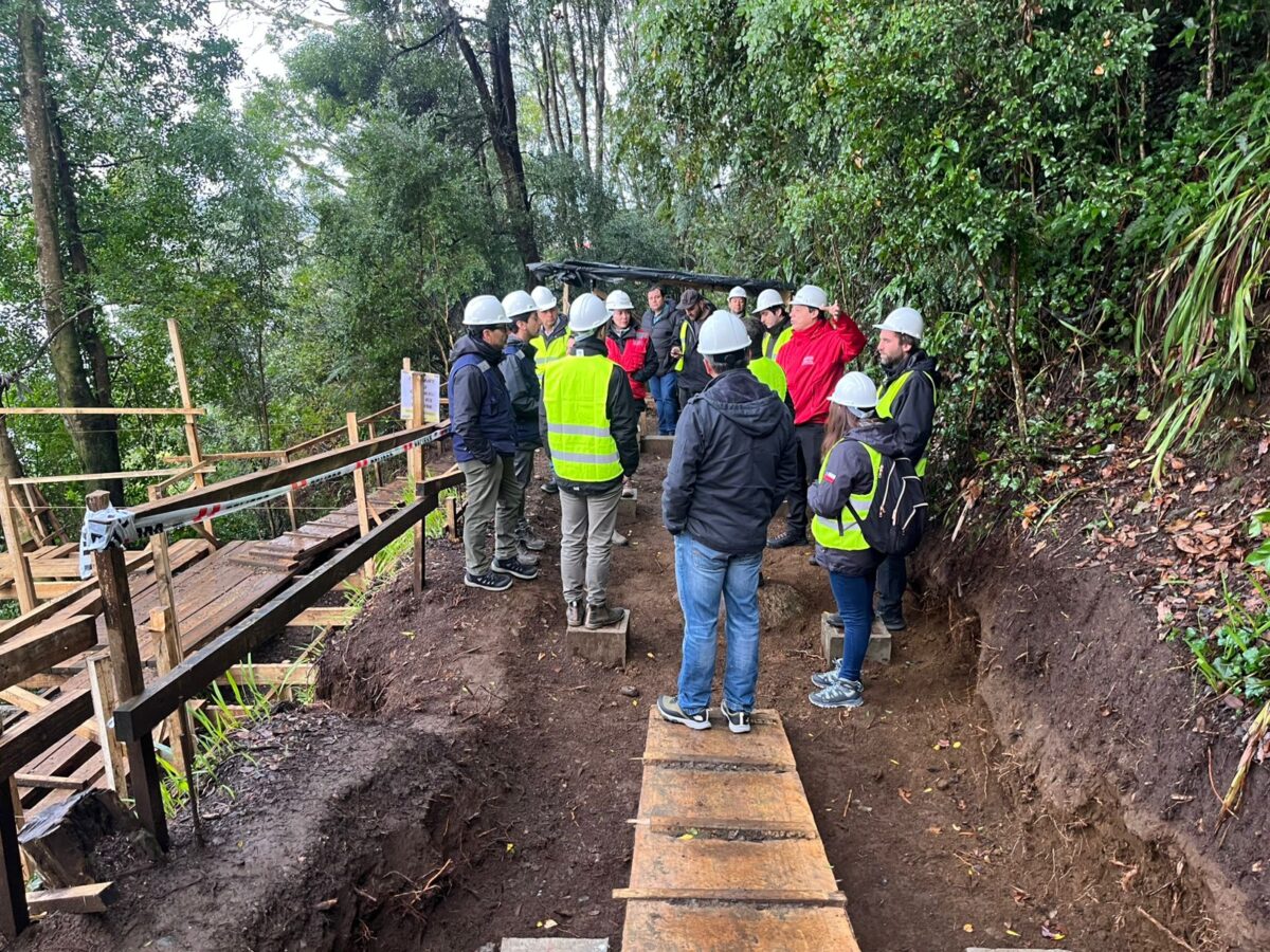 Cerro Phillipi avanza como futuro parque urbano de Puerto Varas