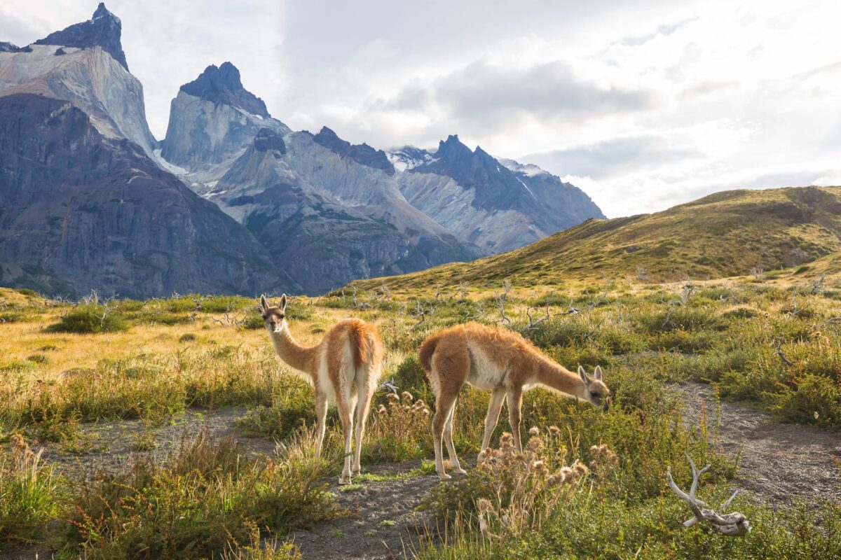 Seminario Ciencia y Turismo en la Ruta de los Parques de la Patagonia