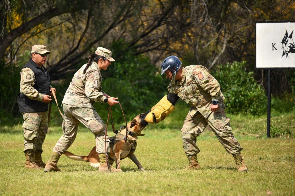 Ejército capacita a guías caninos para reforzar la frontera norte