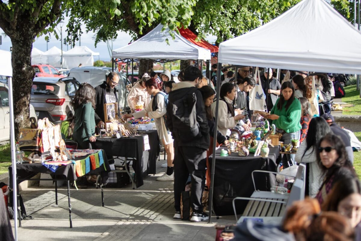 BAJ Los Lagos invita a participar en Mercado de las Artes 2025
