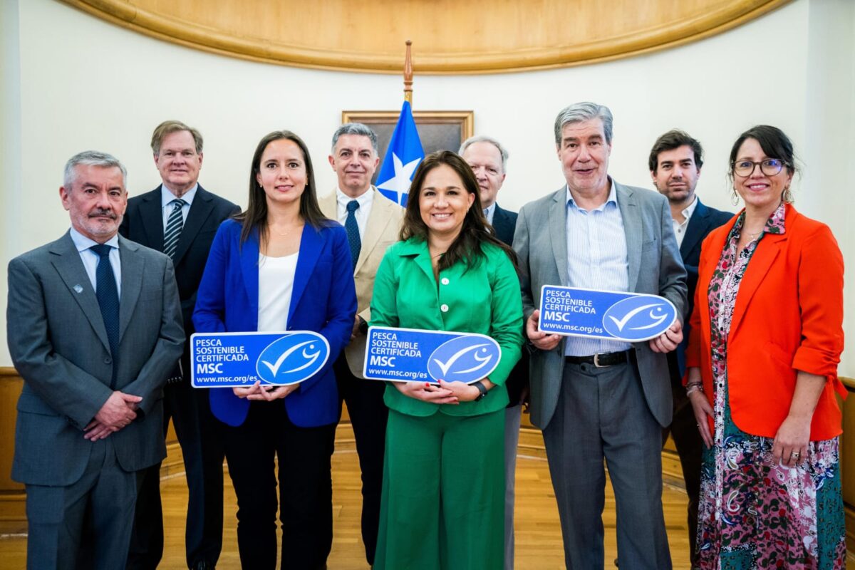 Recertificación internacional del jurel chileno como pesquería sostenible