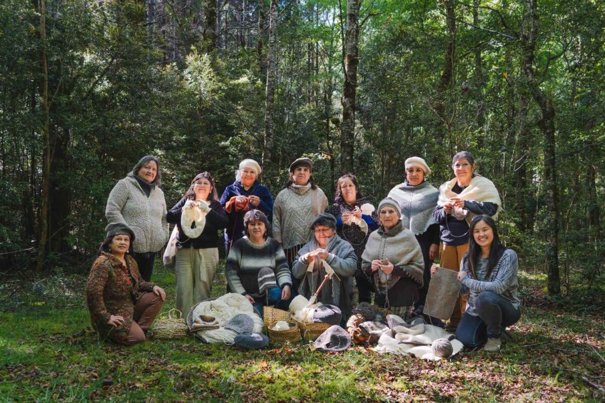 Programa Tejedoras del Bosque, artesanas de Correntoso, Rewilding Chile, Artesanías de Chile, Parque Nacional Alerce Andino, oficios textiles, cultura local, desarrollo comunitario, patrimonio cultural, economía local