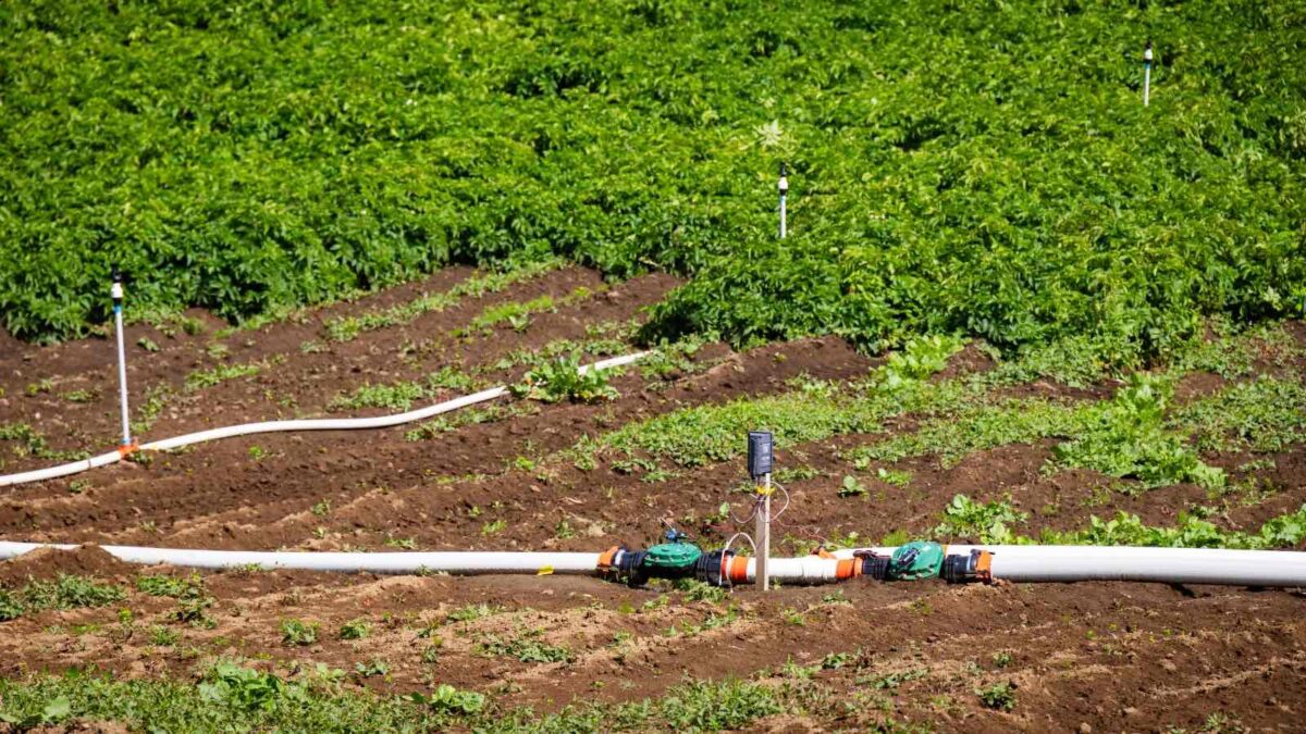 Corfo: transforman residuos plásticos en sistemas de riego agrícola