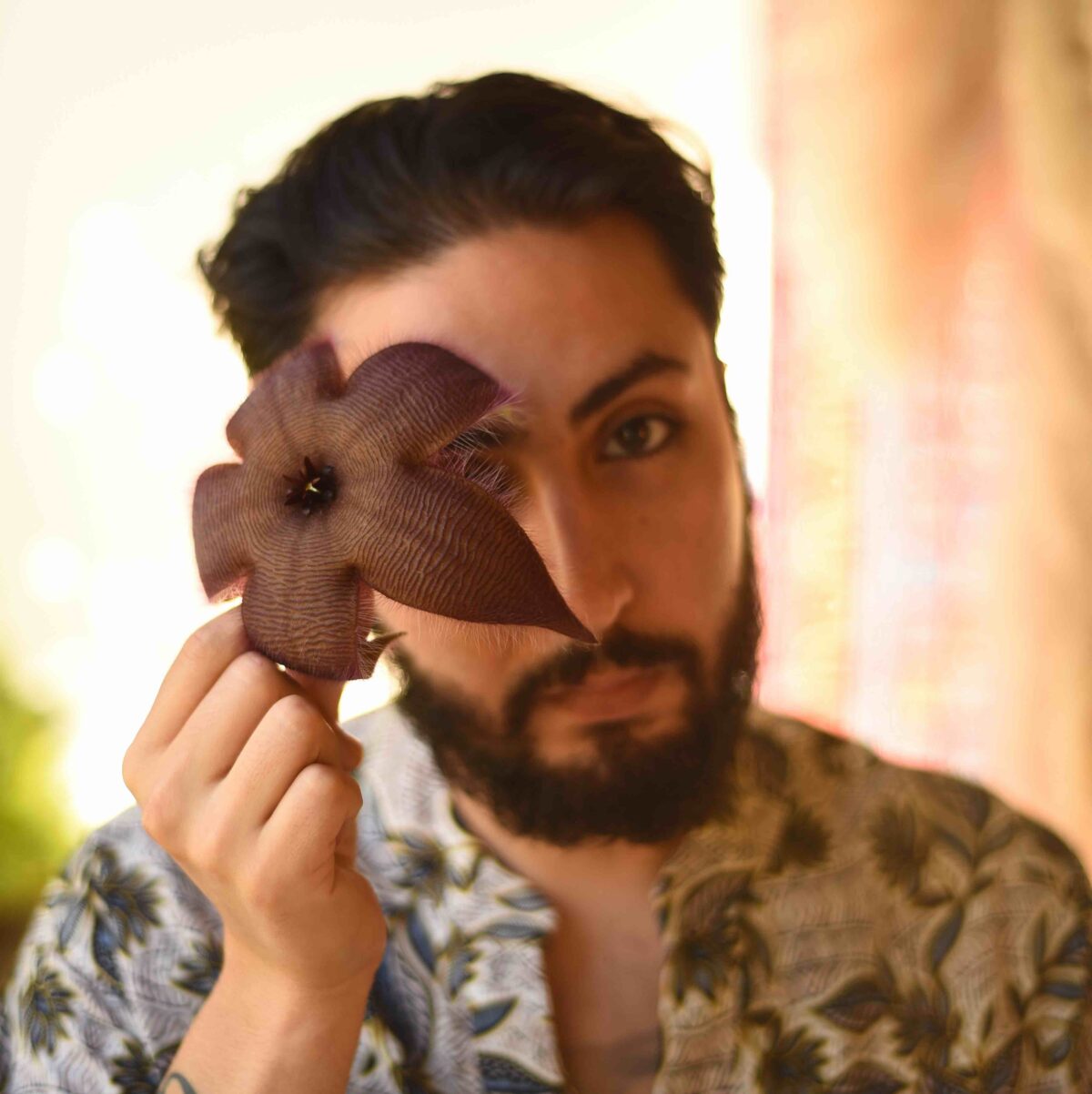 Concierto Camilo Zanetti en Bosque Nativo este viernes