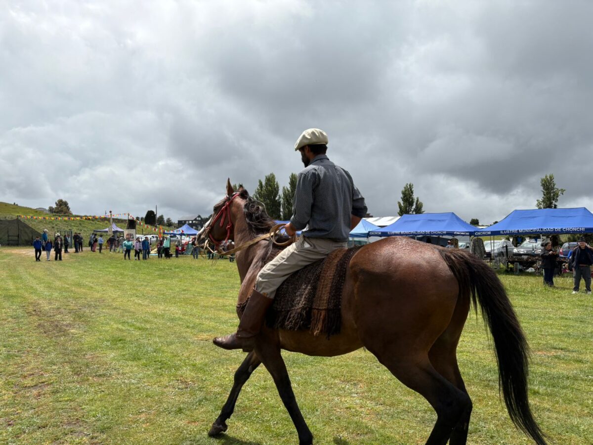 Festival de Barriletes - Diario Puerto Varas