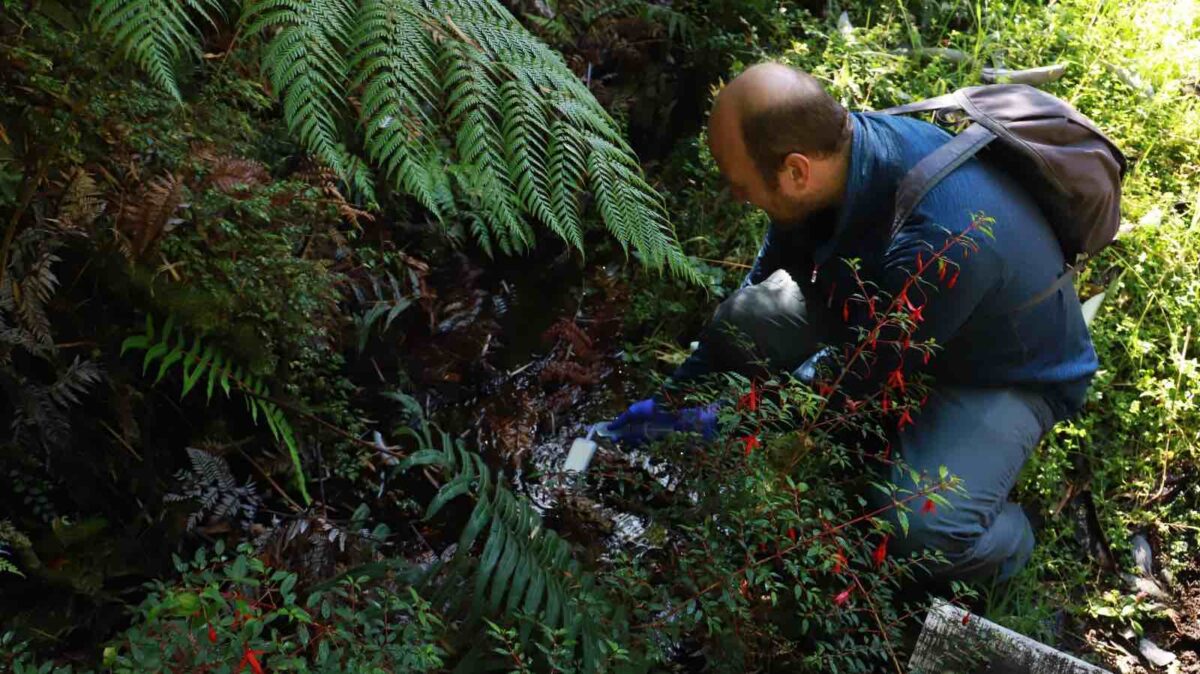 Científicos analizan ADN del agua en el Parque Alerce Andino