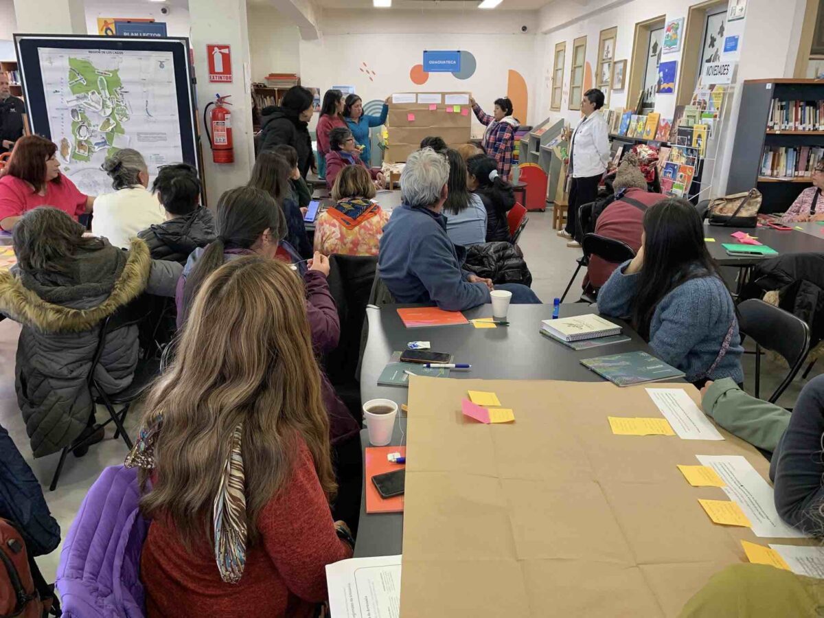 Jornada de artesanía en Los Lagos reúne a más de 50 cultores