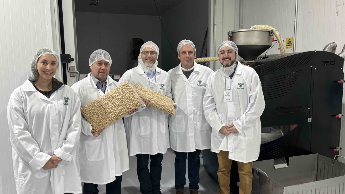 Avellana europea impulsa exportaciones desde Los Lagos