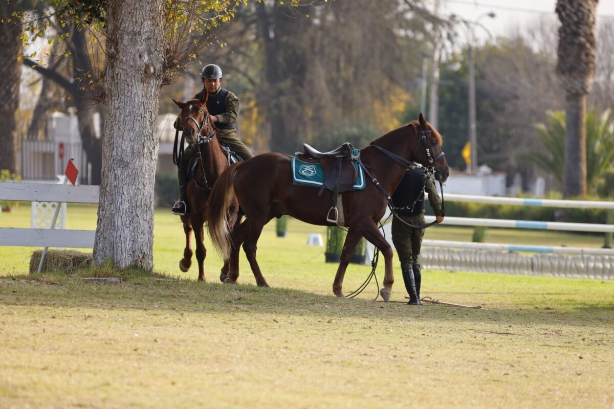 Ejército y Carabineros participaron en competencias con caballos