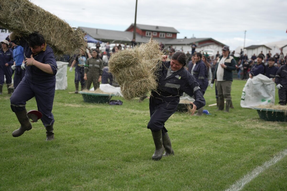 Juegos del Agro 2026 - Diario Puerto Varas