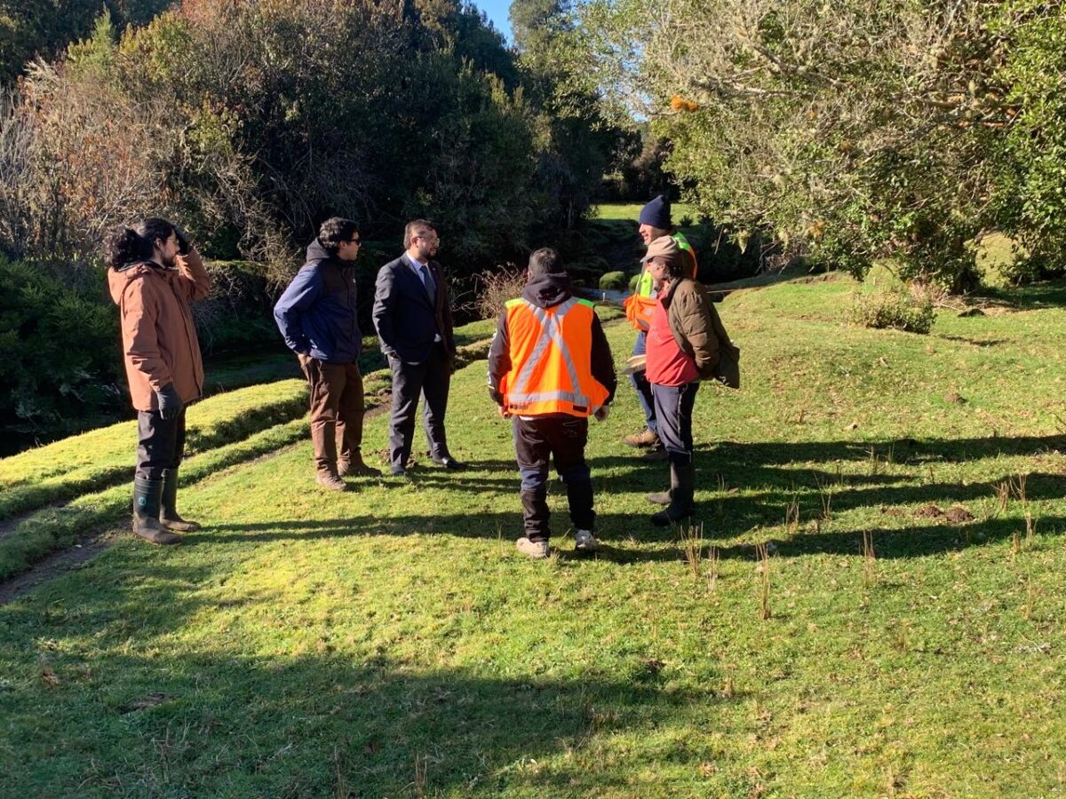 Inician obras de protección en el sitio arqueológico Monte Verde