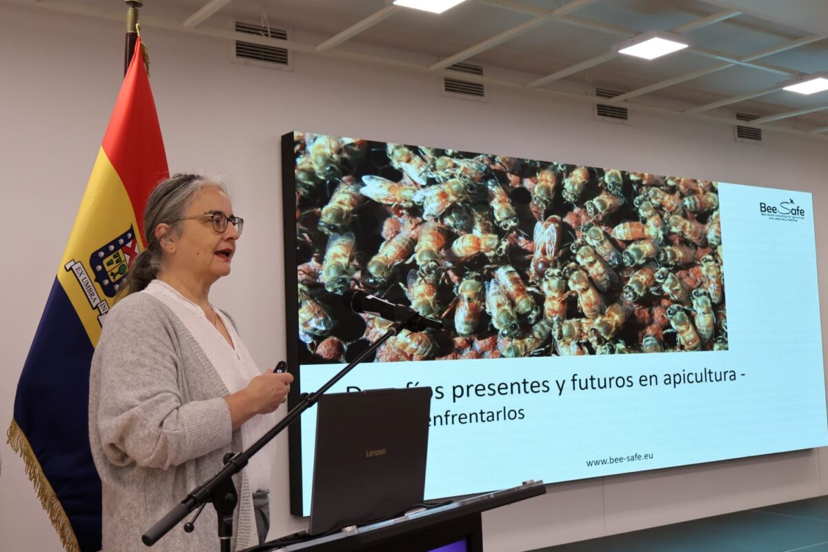 USM Bee Lab - Diario Puerto Varas