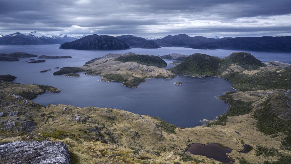 Remoción de carbono marino - Diálogo científico en Puerto Montt - Diario Puerto Varas