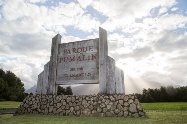 Diario Puerto Varas Noticias Actualidad Parques Nacionales