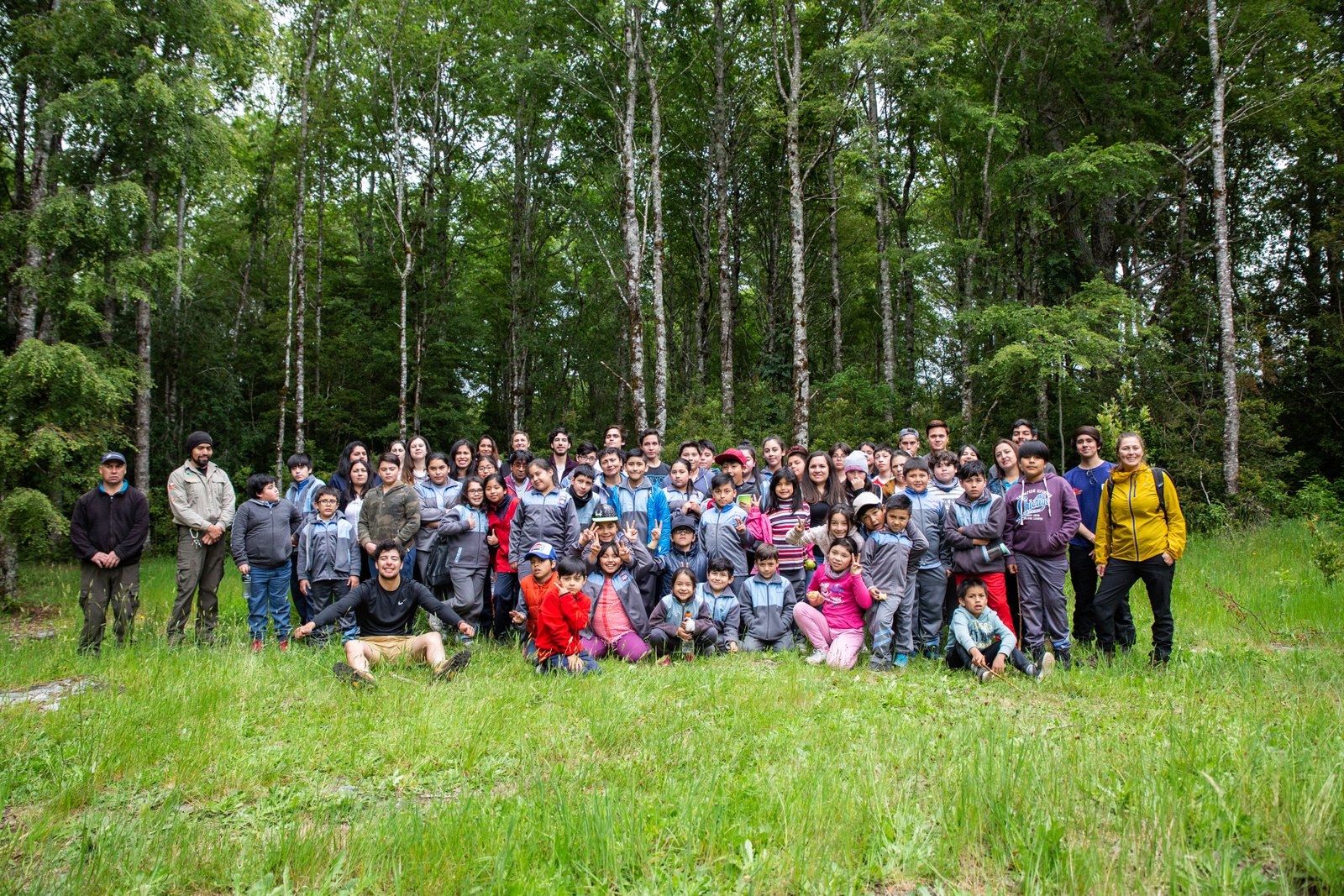Amigos de los Parques convocó a más de 60 voluntarios en actividades en el Parque Nacional Alerce Andino - Diario Puerto Varas