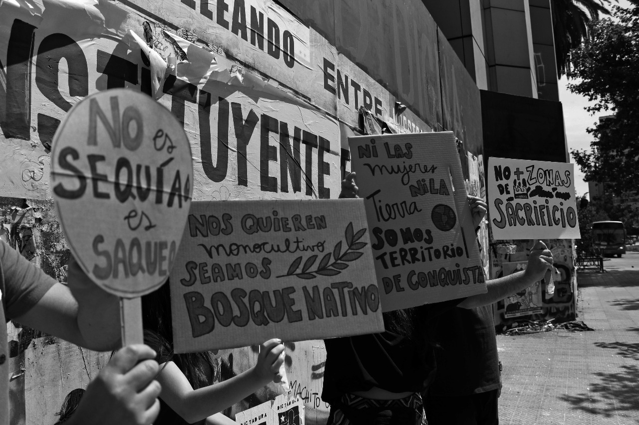 Balance ambiental: del optimismo a la decepción - Fundación Terram - Diario Puerto Varas