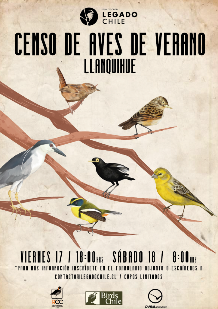 Primer censo de aves de verano de humedales de Llanquihue - Fundación Legado Chile - Diario Puerto Varas