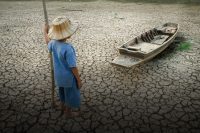 Crisis Hídrica en La Araucanía