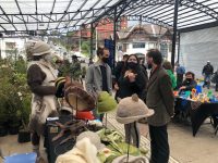 Fiesta del Emprendimiento Semana de la Pyme se realiza en Puerto Varas