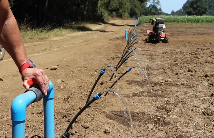 97 familias de comunidades indígenas de las provincias de Osorno y Llanquihue son beneficiadas con subsidio de Conadi