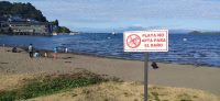 Bahía de Puerto Varas supera en 16 veces normativa vigente para uso recreativo del agua