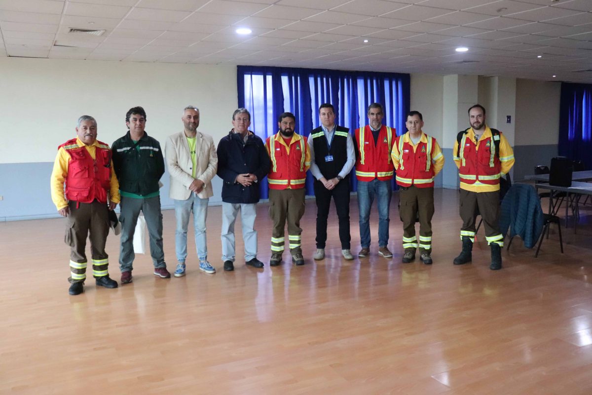 Puerto Montt coordina acciones para prevenir incendios forestale
