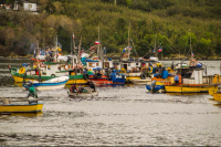 Diputados aprueban zona contigua para pesca entre Los Lagos y Aysén