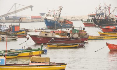 Organizaciones ambientales presentan propuestas para nueva ley de pesca