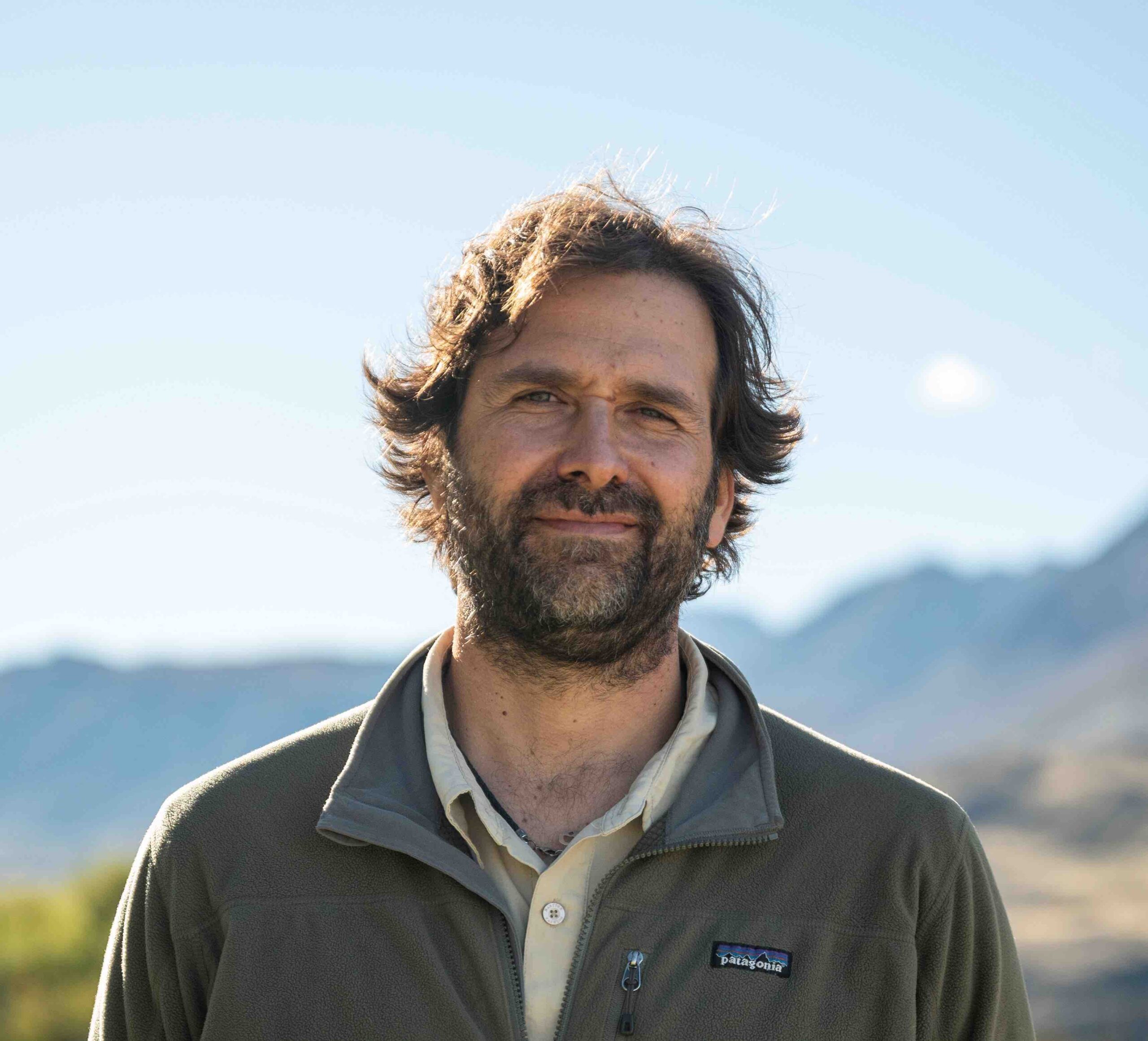 Perros asilvestrados amenazan fauna y campo en Chile