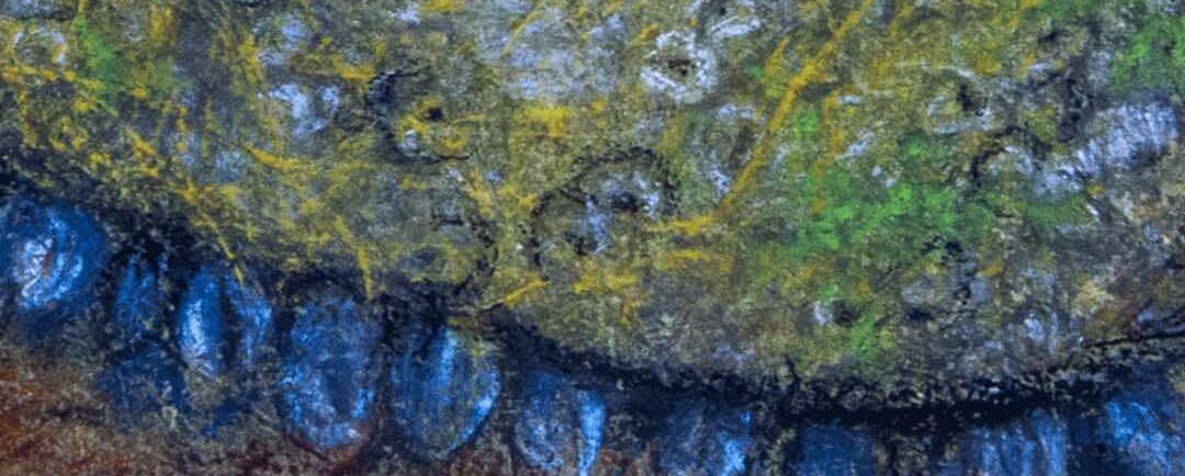 “Bitácora de la Orilla” de Verónica Astudillo en Centro Cultural Bosque Nativo